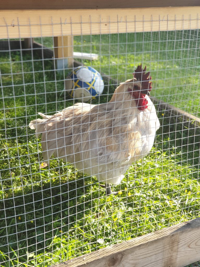 2019-06-30 18.20.17_2